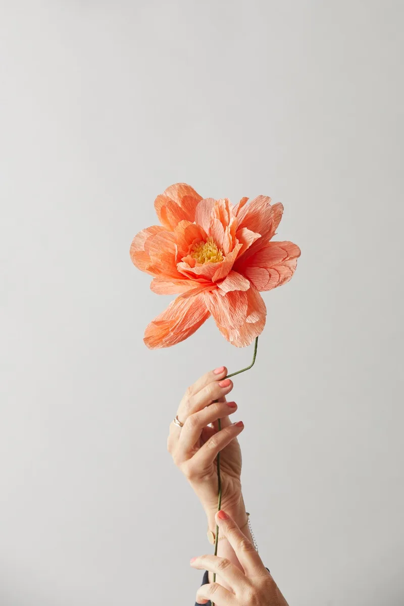 PAPER FLOWER, GRAND PEONY, PEACH von Studio About – Ambientefoto