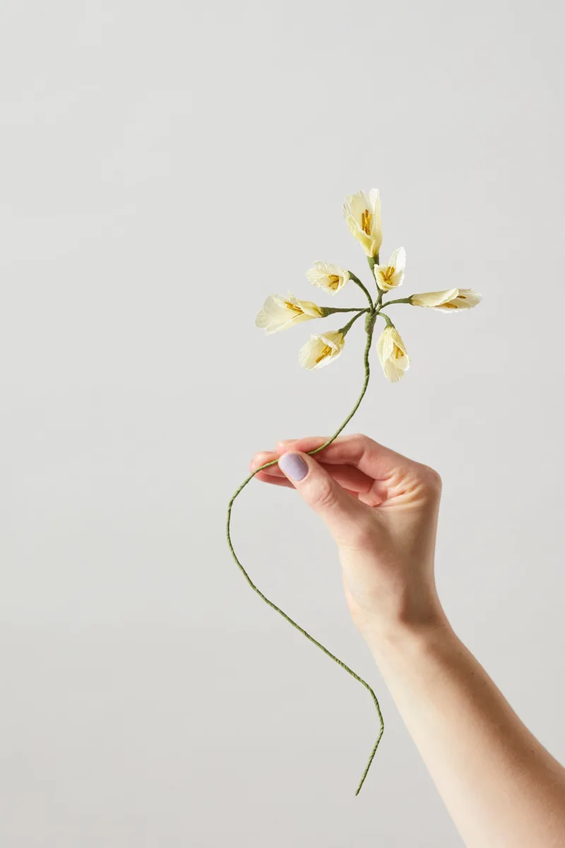 PAPER FLOWER, AFRICAN LILY, YELLOW van Studio About – productfoto