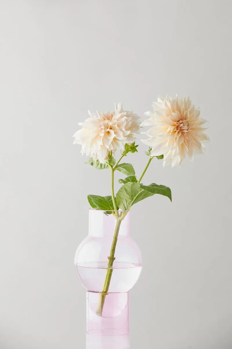 BUBBLE TUBE, LARGE, ROSE by Studio About – product photo