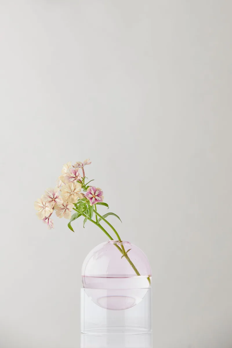 STANDING FLOWER BUBBLE, LOW TUBE, ROSE, 802050R by Studio About – product photo