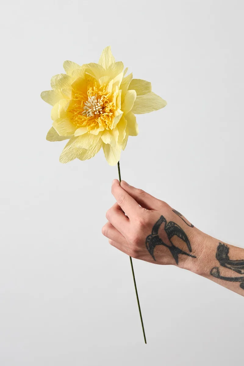 PAPER FLOWER, COTTAGE ROSE, YELLOW van Studio About – productfoto