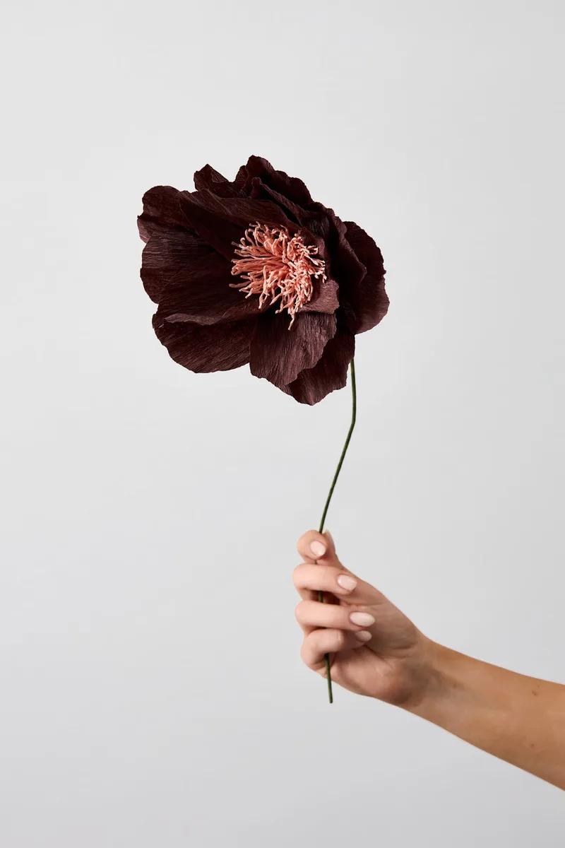 PAPER FLOWER, RHAPSODY ROSE, BROWN by Studio About – product photo