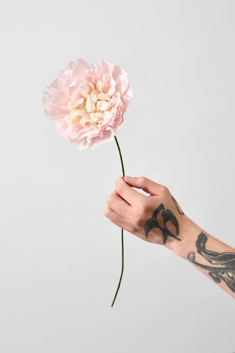 PAPER FLOWER, VEGGIE ROSE, ROSE von Studio About – Produktfoto