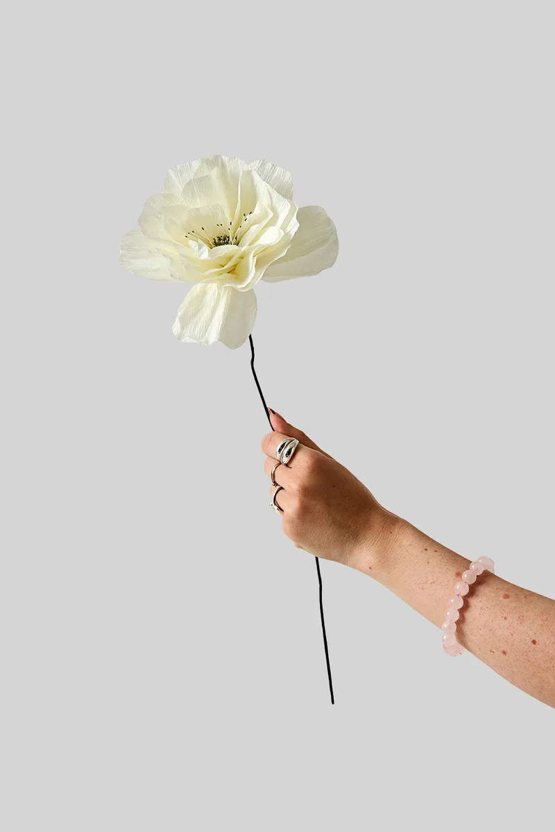 PAPER FLOWER, ROSA LA PALOMA GRANDE, SAND van Studio About – productfoto