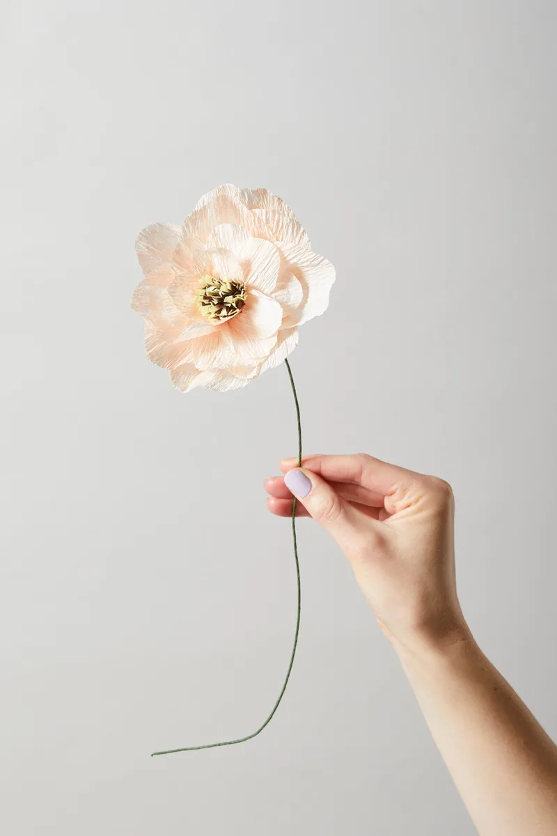 PAPER FLOWER, POPPY, NUDE van Studio About – sfeerfoto