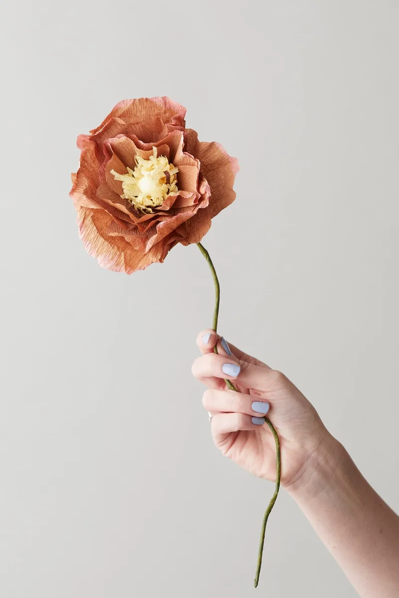 PAPER FLOWER, ICE POPPY, DARK OCHRE de Studio About – photo du produit
