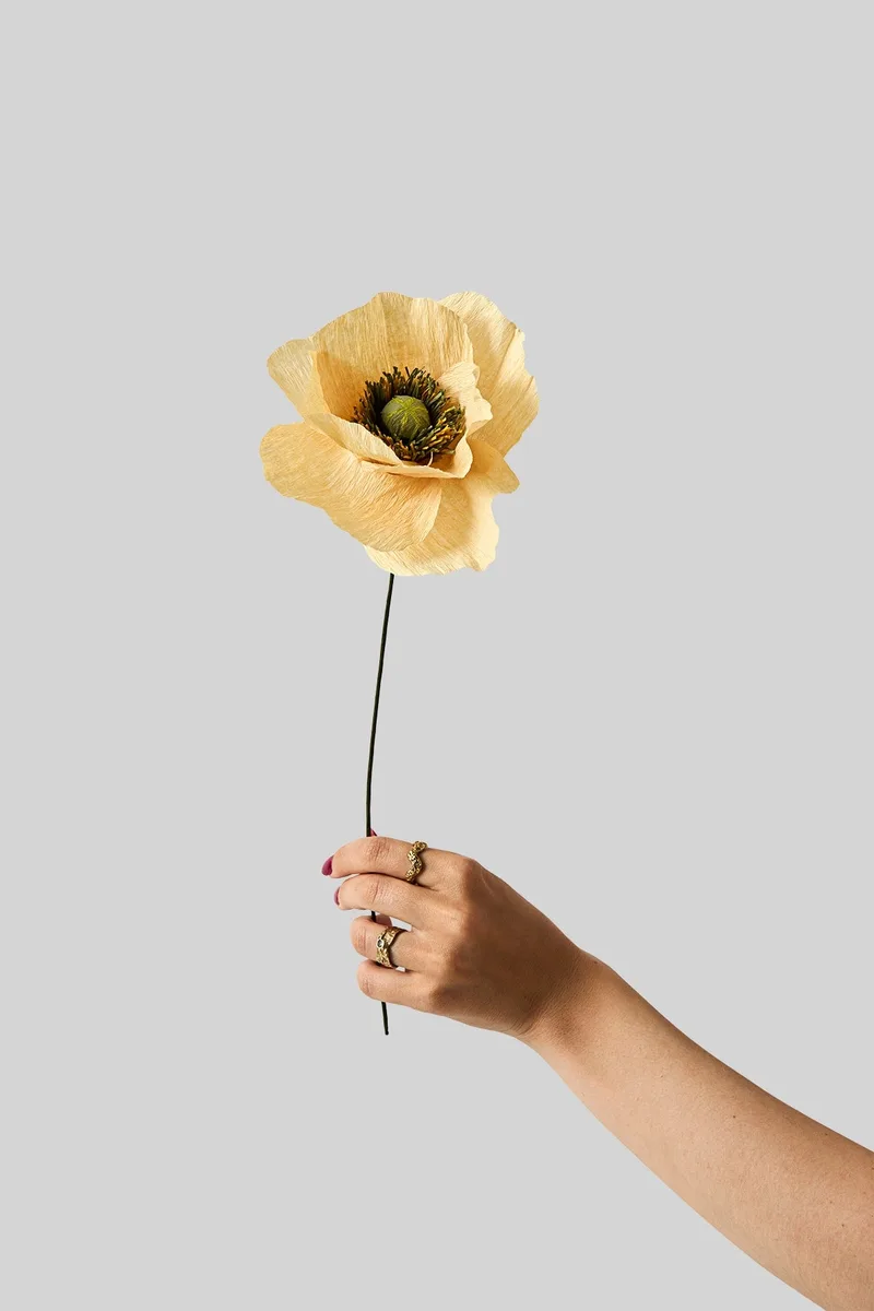 PAPER FLOWER, PAPAVER, SOFT PEACH by Studio About – product photo