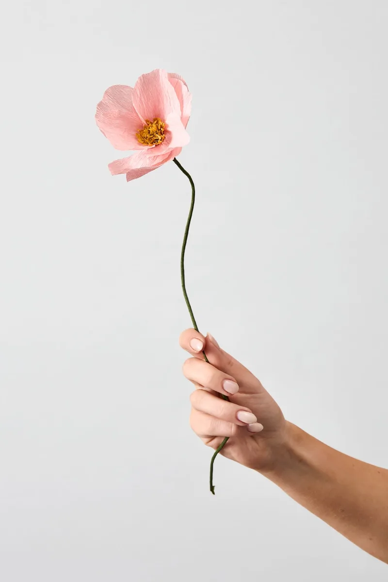 PAPER FLOWER, WINDFLOWER, ROSE de Studio About – photo du produit