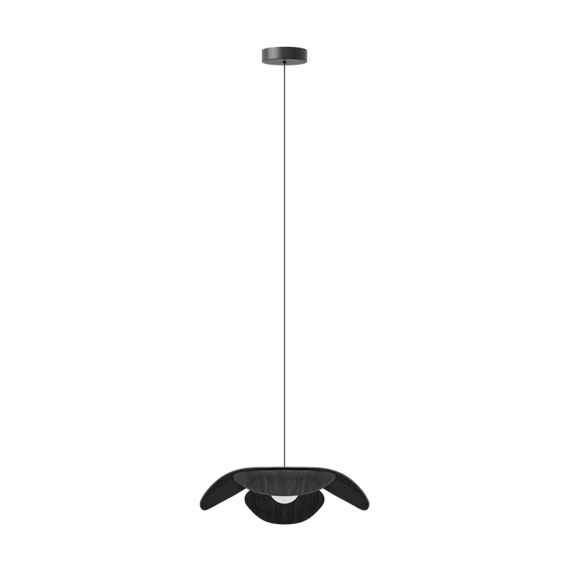 Forget Me Not single | lampesæt von UMAGE in Black oak, Medium – Produktfoto