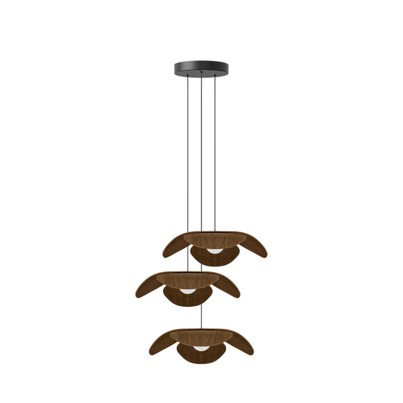 Forget Me Not cluster 3 | lampesæt von UMAGE in Dark oak, Medium – Produktfoto