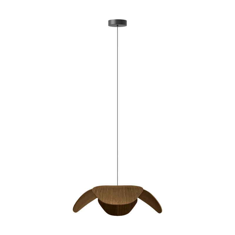 Forget Me Not single | lampesæt von UMAGE in Dark oak, Large – Produktfoto