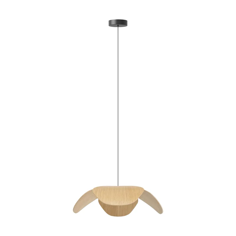 Forget Me Not single | lampesæt von UMAGE in Oak, Large – Produktfoto
