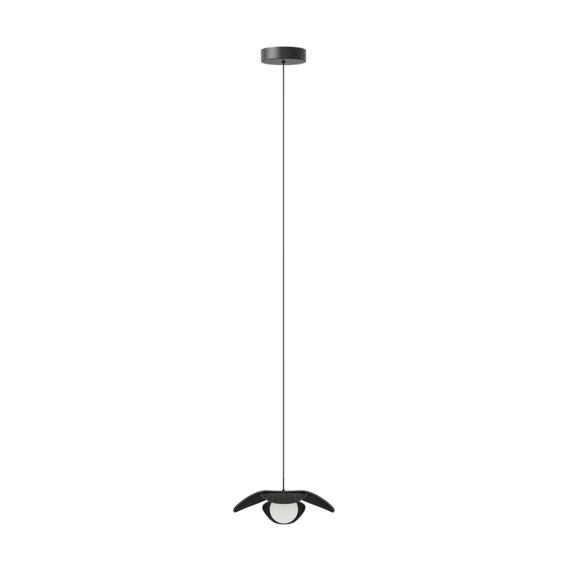 Forget Me Not single | lampesæt van UMAGE in Black oak, Mini – productfoto