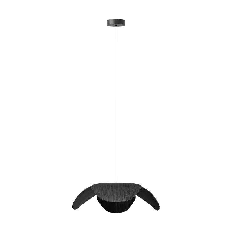 Forget Me Not single | lampesæt von UMAGE in Black oak, Large – Produktfoto