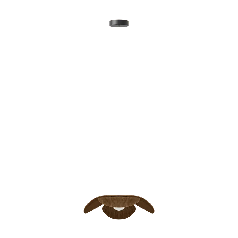 Forget Me Not single | lampesæt von UMAGE in Dark oak, Medium – Produktfoto