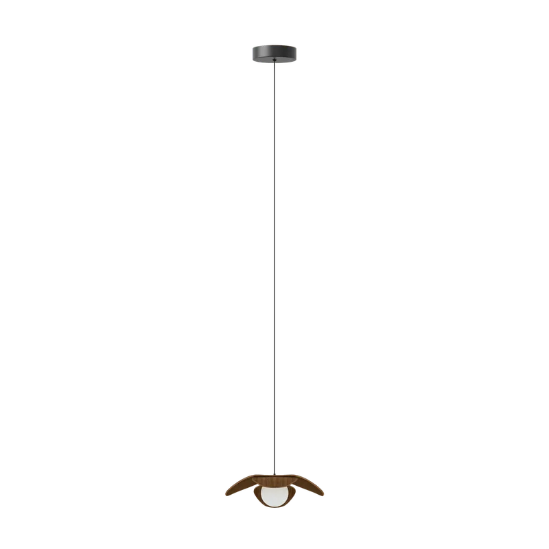 Forget Me Not single | lampesæt van UMAGE in Dark oak, Mini – productfoto