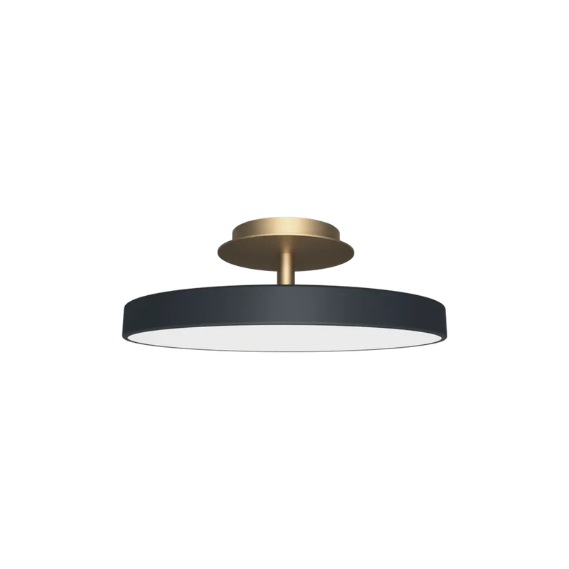 Asteria Up Plus | ceiling lamp von UMAGE in Anthracite, Mini – Produktfoto