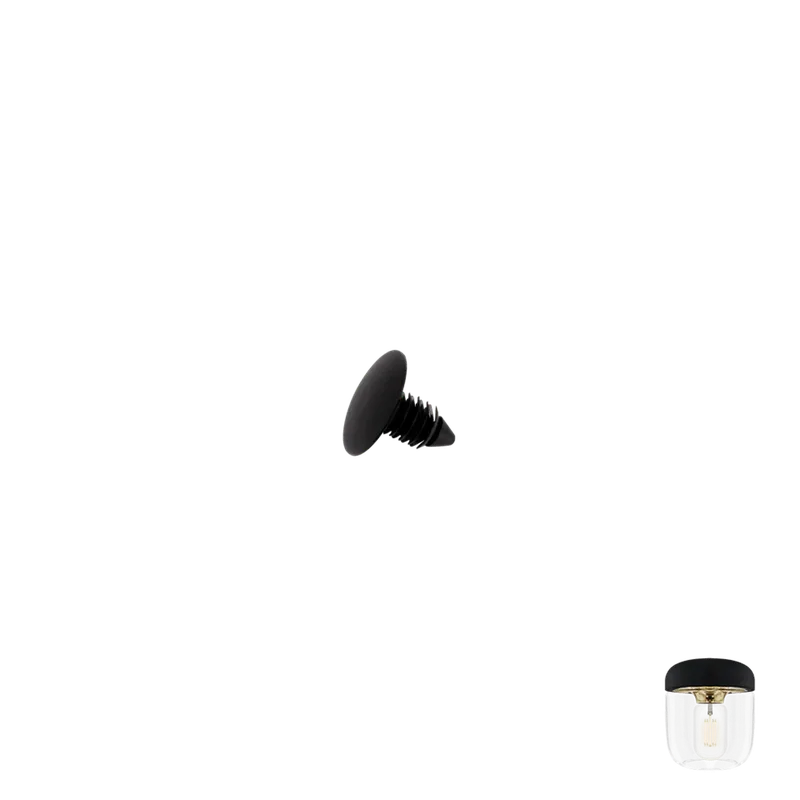 Acorn Screw | spare part van UMAGE in Black – productfoto