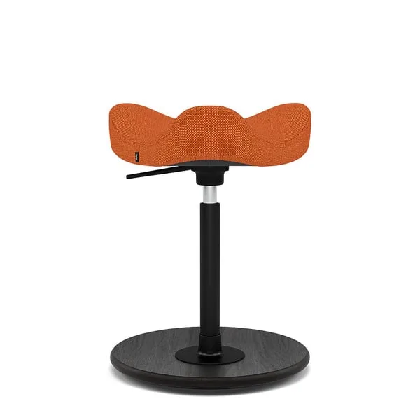 Move Compact de Varier – photo du produit