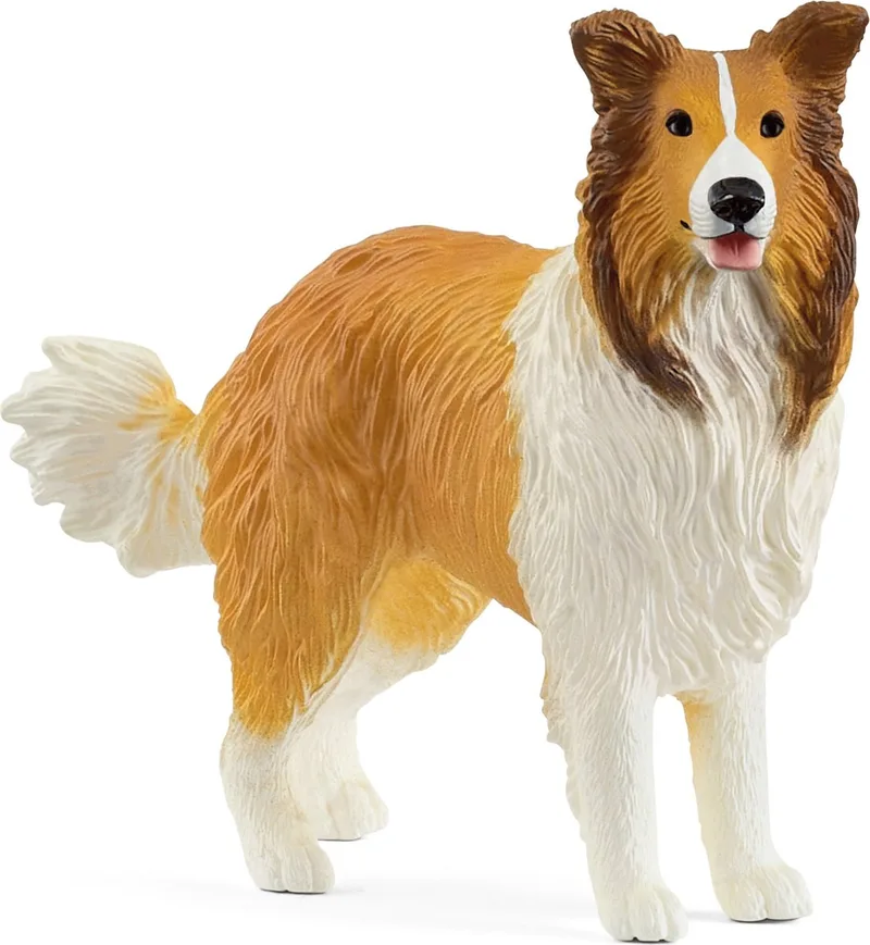 13998 Collie van Schleich – productfoto