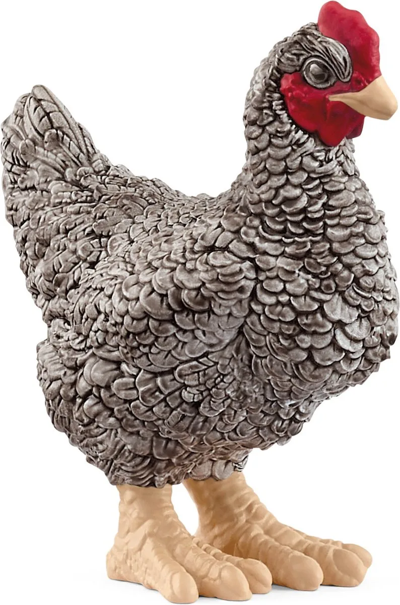 13997 Plymouth Rock Chicken de Schleich – photo du produit