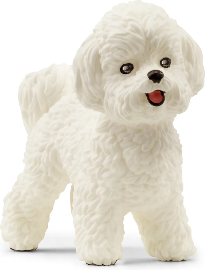 13963 Bichon Frise de Schleich – photo du produit