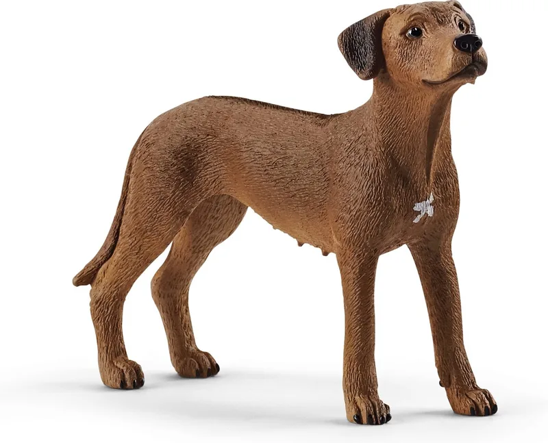 13895 Rhodesian Ridgeback by Schleich – product photo