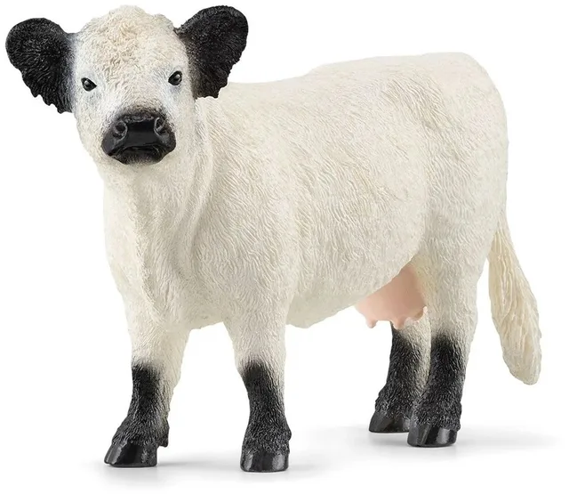 13960 Galloway Cow
