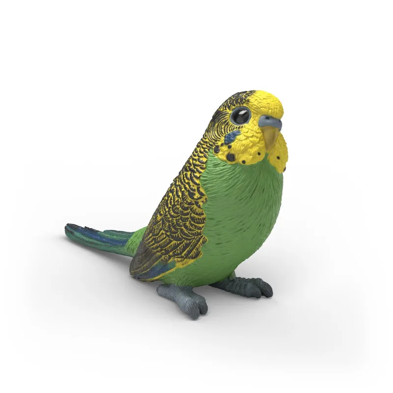 14939 Budgie de Schleich – photo du produit 1 sur 2