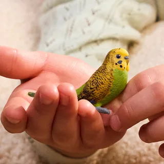 14939 Budgie de Schleich – photo d’ambiance 2 sur 2